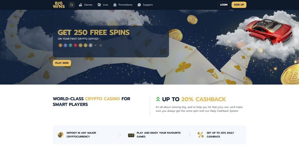 BigWins Online Casino: Player Rankings & Our Decision