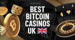 WinDiggers Casino Sister Sites, Rewards, Gamings and Much more